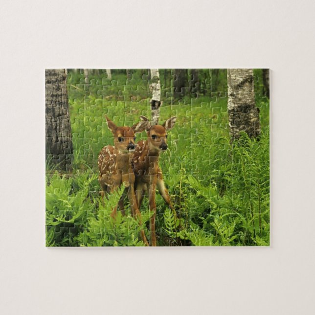 Quebra-cabeça do Fawn (Horizontal)