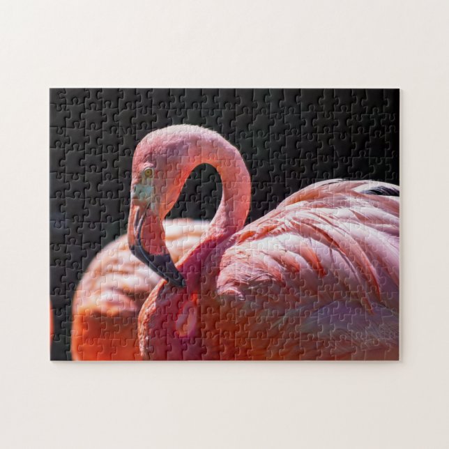 Quebra-cabeça do flamingo (Horizontal)