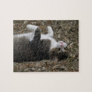 Quebra-cabeça do Gatinho para baixo