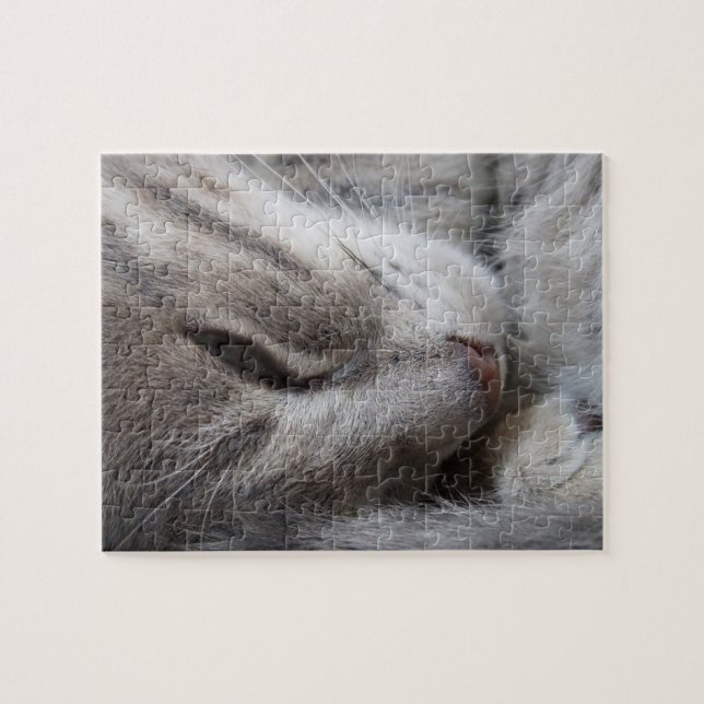 Quebra-cabeça do gato do sono (Horizontal)