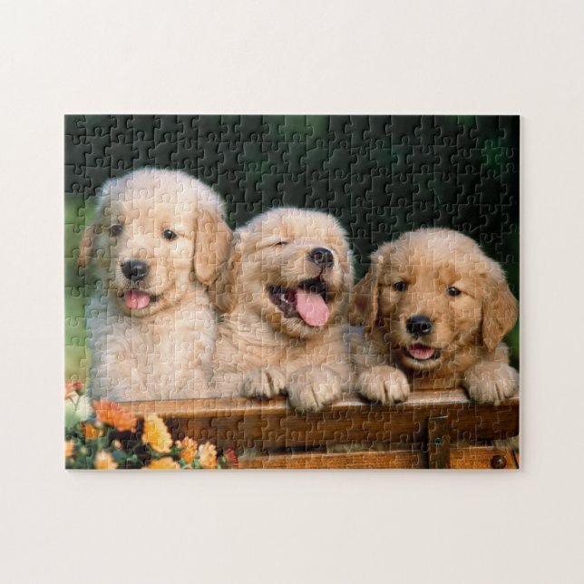 Quebra-cabeça do Jogo de Cachorrinhos (Horizontal)