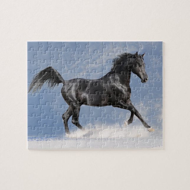 Quebra-cabeça do Jogo de Cavalo Negro (Horizontal)