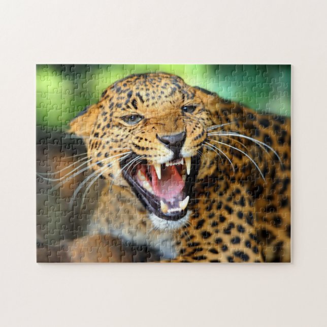 Quebra-cabeça do Jogo do Leopardo (Horizontal)
