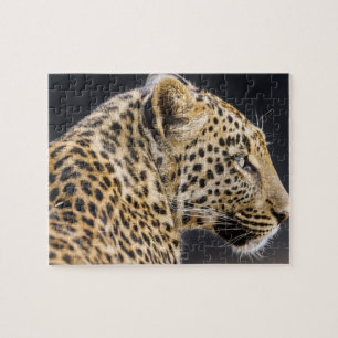 Quebra-cabeça do Jogo Leopardo