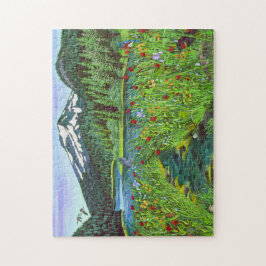 Quebra-cabeça do lago Todd