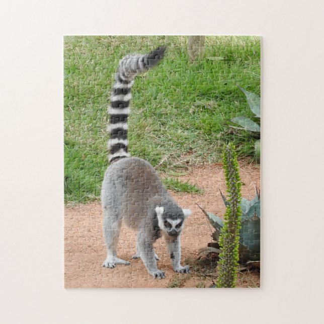 Quebra-cabeça do Lemur (Vertical)