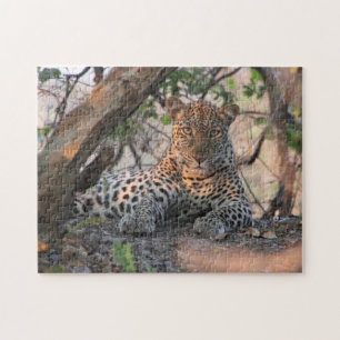 Quebra-cabeça do leopardo