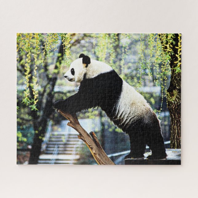 Quebra-cabeça do Panda (Horizontal)