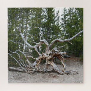 Quebra-cabeça do Parque Nacional Yellowstone