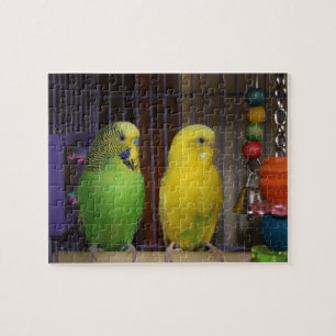 Quebra-cabeça do pássaro do Parakeet