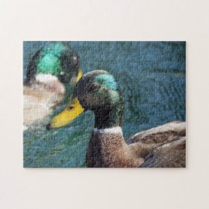 Quebra-cabeça do pato do pato selvagem