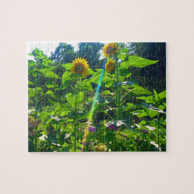 Quebra-cabeça do poder do girassol (Horizontal)