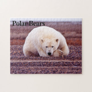 Quebra-cabeça do Polar Bear 7 Jigsera