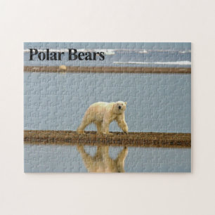 Quebra-cabeça do Polar Bear 9 Jigsera