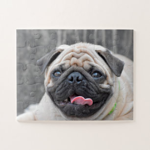 Quebra-cabeça do Pug