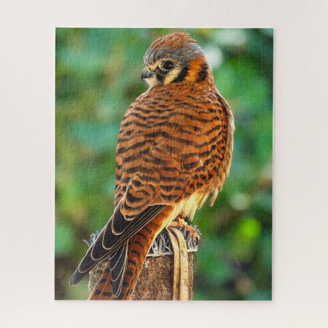 Quebra-cabeça do Quilombo Americano | Jigsaw da Na (Vertical)