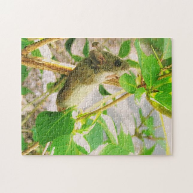 Quebra-cabeça do rato (Horizontal)