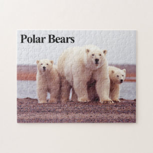 Quebra-cabeça do Urso Polar 12