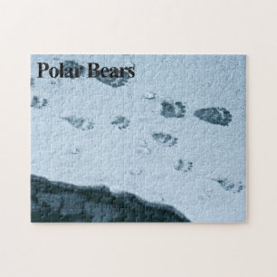Quebra-cabeça do Urso Polar 5 Jigsera