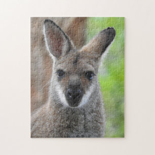 Quebra-cabeça do Wallaby