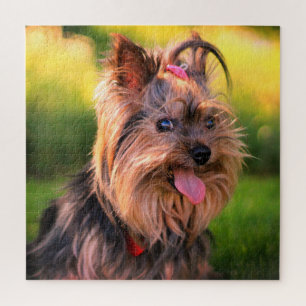 Quebra-cabeça do yorkshire terrier