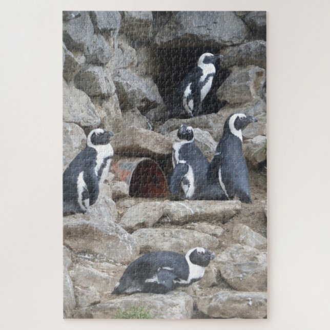 Quebra-cabeça do zoológico: Pinguins bonitos (Vertical)