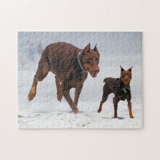Quebra-cabeça Doberman e Pin do minuto - OLHAR! Um mini mim!
