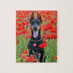 Quebra-cabeça Doberman Pinscher, preto e tan, em Flores Vermelha
