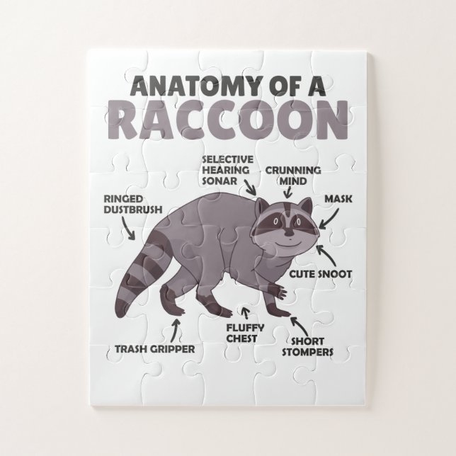 Quebra-cabeça Doce Raccoon Explicação Anatomia De Um Raccoon (Vertical)
