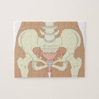 Doenças dos órgãos genitais femininos 3