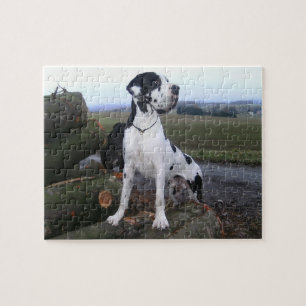 Quebra-cabeça Dogge alemão, Great Dane, Cães, Dogue Allemand