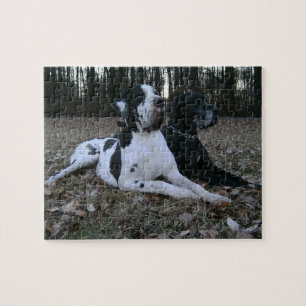 Quebra-cabeça Dogge alemão, Great Dane, Cães, Dogue Allemand