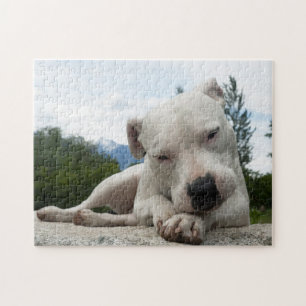 Quebra-cabeça Dogo Argentino
