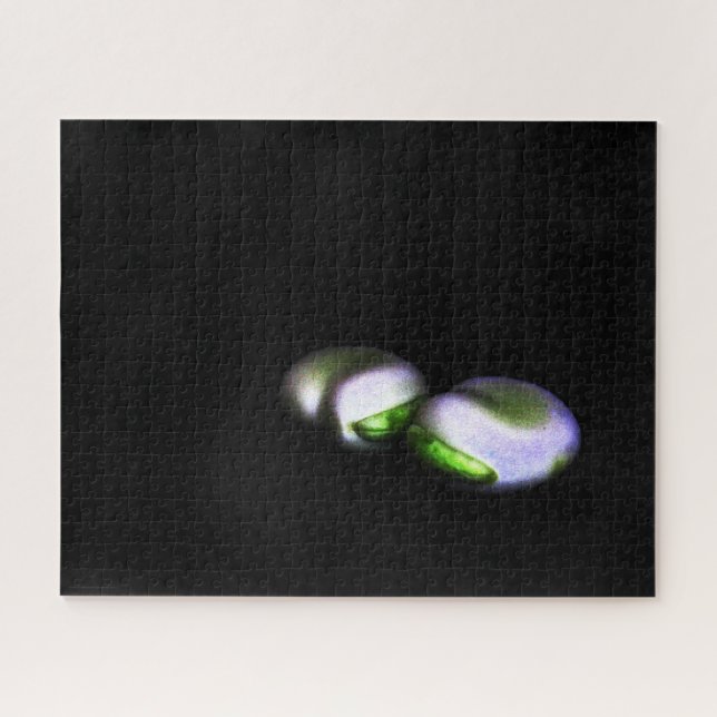 Quebra-cabeça Dois Beans básicos jpcna 16x20 520pc (Horizontal)
