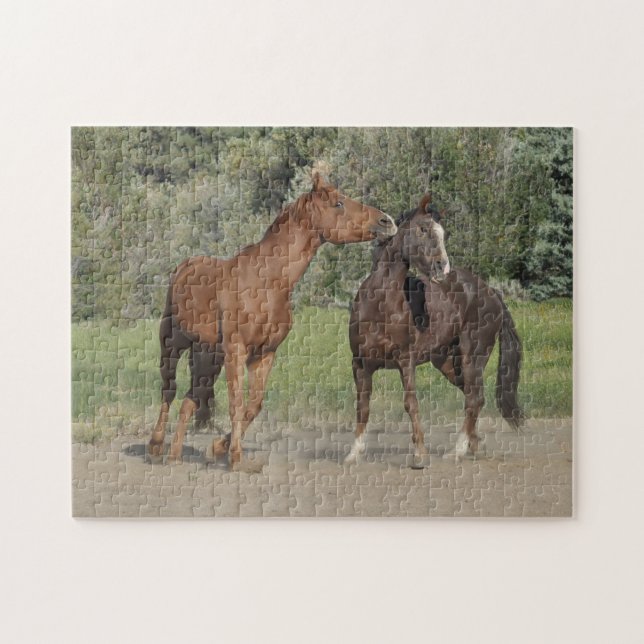 Quebra-cabeça Dois Cavalos Jogando (Horizontal)