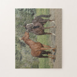 Quebra-cabeça Dois Cavalos Jogando