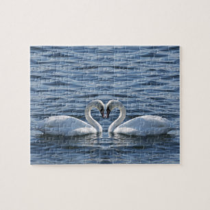Quebra-cabeça Dois cisnes na água