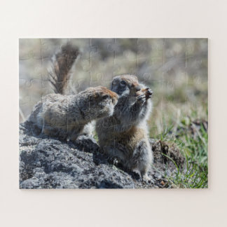 Quebra-cabeça Dois esquilos de terra giros (gophers, evrazki)