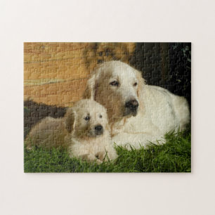 Quebra-cabeça Dois Ouros - Mãe e Puppy - Amor