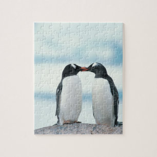 Quebra-cabeça Dois pinguins que tocam nos bicos