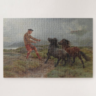 Quebra-cabeça Dois Pôneis Shetland nas Highlands da Escócia