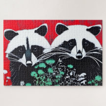 Dois Raccoons