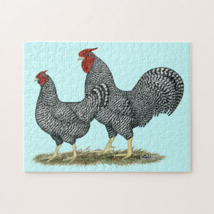 Quebra-cabeça Dominique Chickens