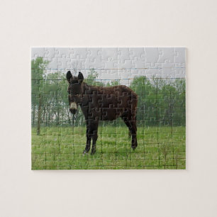 Quebra-cabeça Donkey Jigsaw