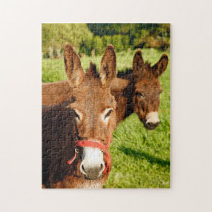 Quebra-cabeça Donkeys