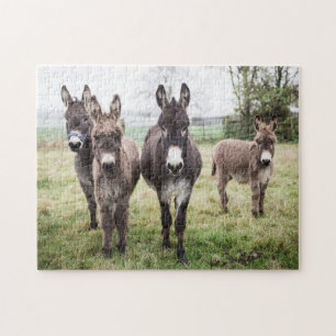 Quebra-cabeça Donkeys em uma Mistura Manhã de inverno