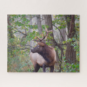 Quebra-cabeça dos alces de Bull
