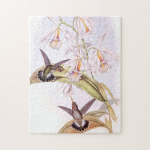 Quebra-cabeça dos colibris