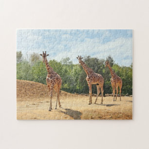 Quebra-cabeça dos girafas