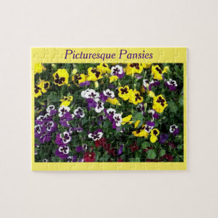 Quebra-cabeça dos pansies